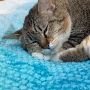 Meet your Posher, Tru